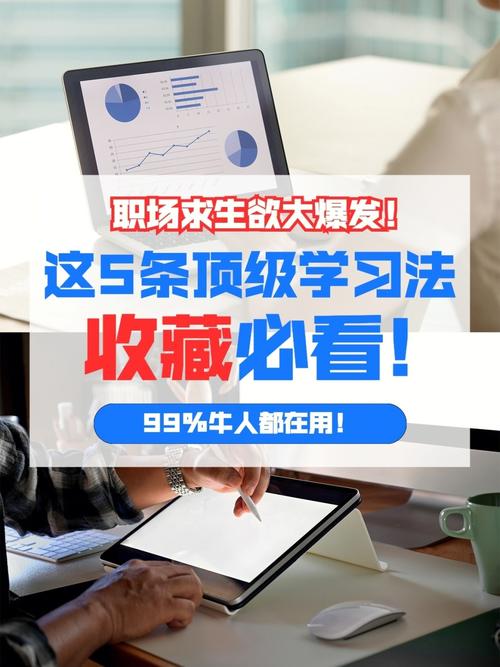 丰年经继拇中文 5 优惠活动——高效学习中文的优质软件