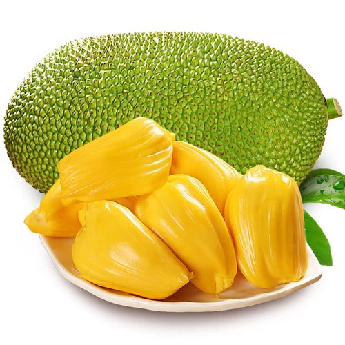 香甜可口的菠萝蜜大片,口感软糯,营养丰富,是休闲时光的最佳伴侣