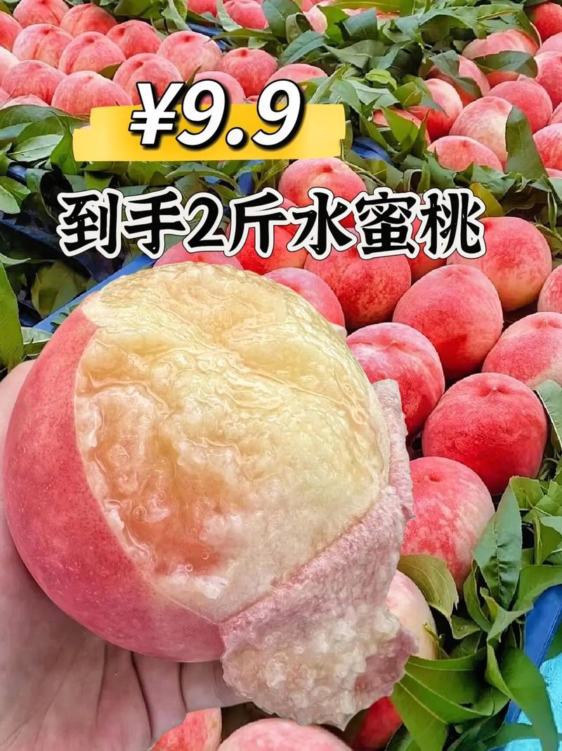 巨无霸水蜜桃 2，多汁香甜，个大肉厚，每一口都充满夏天的味道
