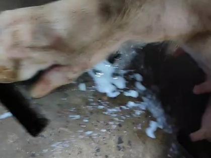 滋润肌肤，清爽不油腻——乳液狂飙开襟图片不加马赛克