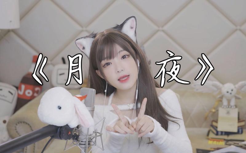 月夜直播免费，海量高清视频，精彩内容不断
