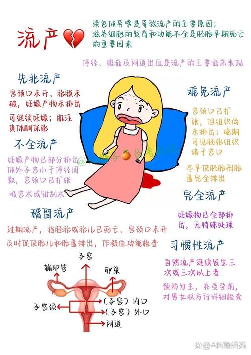 精产一二三产区区别在哪？带你了解它们的不同之处