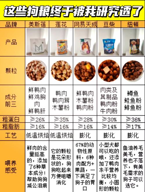 百万亚瑟王攻略:揭秘刷狗粮最佳暗卡推荐,带你高效刷取高性价比卡牌