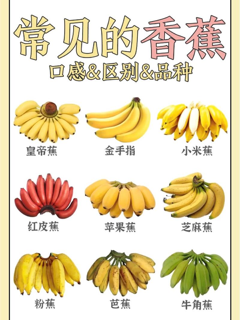拥有海量视频资源的香蕉频蕉 app,是你娱乐放松的最佳选择