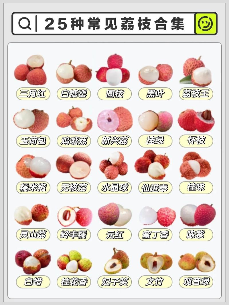 精产国品一二三产区草莓,甜蜜多汁,口感丰富,富含营养,是您健康生活的最佳选择
