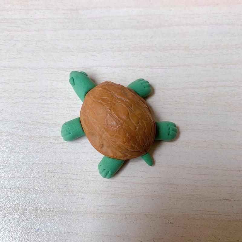 我想用我的扇贝夹你的乌龟,体验夹核桃的乐趣